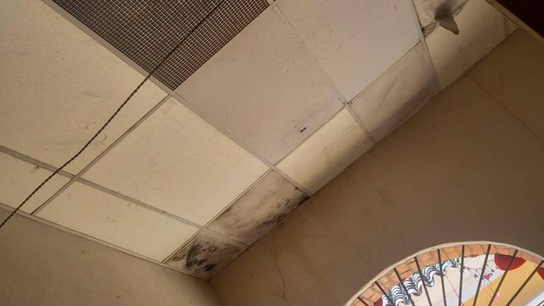 En un recorrido realizado por Datemex en el Museo Regional de San Ignacio se pudo documentar el abandono del recinto.