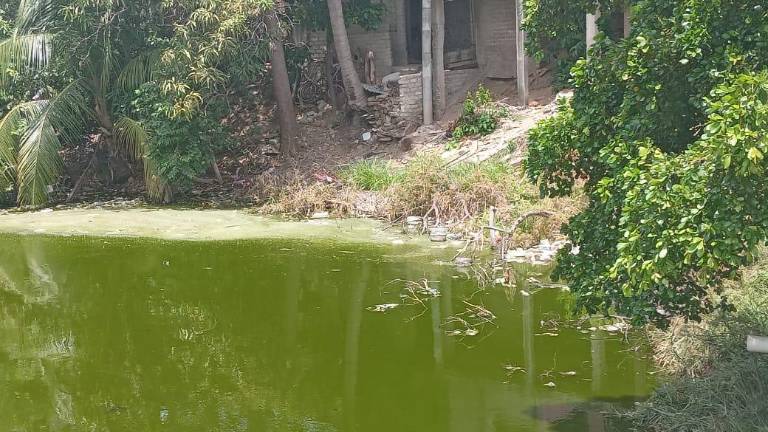 La laguna Zacatecas, rodeada por viviendas, presenta acumulación de lama y contaminación, según denuncias vecinales.