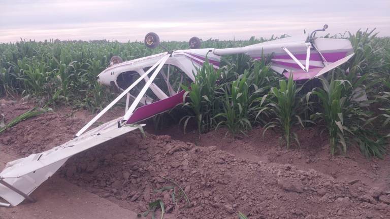Grupos de auxilio que acudieron a la zona encontraron la avioneta ligera en unas parecelas de maíz.