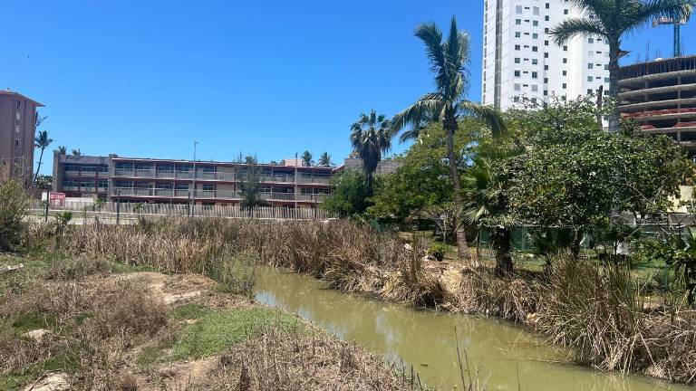 Vecinos desmintieron a Ecología y a Jumapam quienes descartaron que aguas residuales provoquen la mortandad de peces.