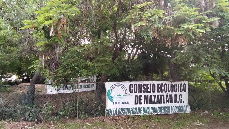 Terrenos que la Comuna mazatleca pretende entregar como parte del pago a Nafta Lubricantes.