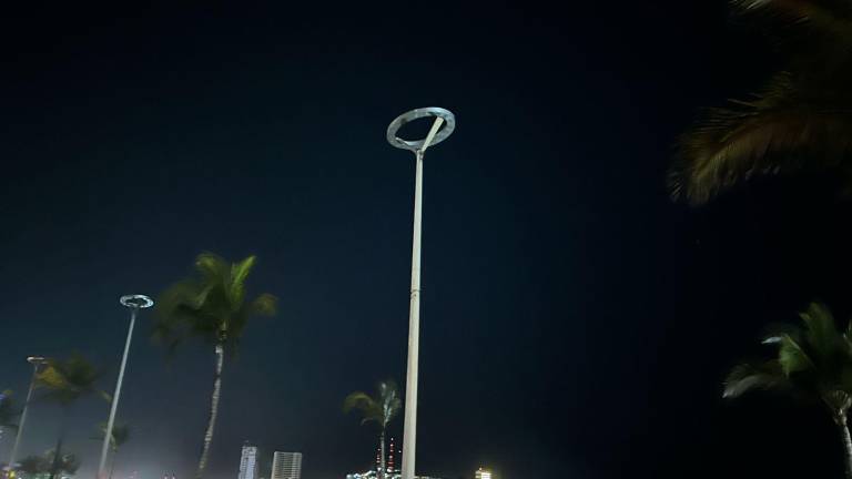 El alumbrado público del camellón de la Avenida del Mar permanece apagado.