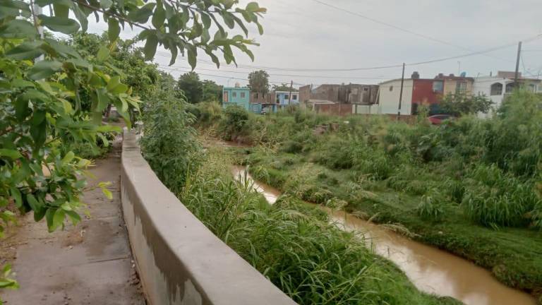 Ya se acerca “Orlene” y así está el arroyo Jabalines, entre La Foresta y Ex Hacienda del Conchi.