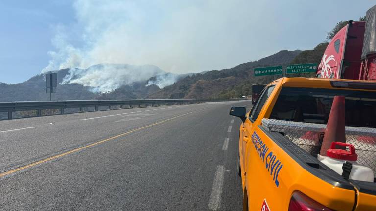 Brigadas de emergencia se han movilizado hacia la sierra de Concordia para atender los incendios forestales.