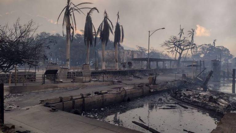 La magnitud de la devastación es abrumadora, con hogares, negocios y estructuras históricas reducidas a cenizas.