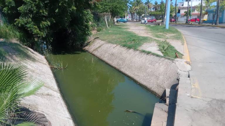 Vecinos reportan que un canal pluvial traslada agua de drenaje hacia la Laguna del Camarón.