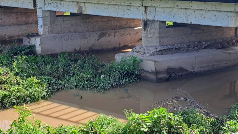 Lluvias en Escuinapa dejaron apagones y al menos dos árboles caídos