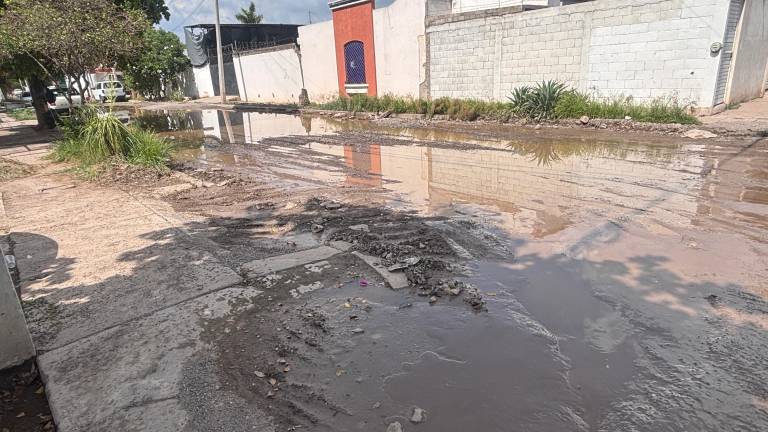 Los habitantes de la colonia Campo Bello sufren dificultades para transitar en calles inundadas y lodosas cada vez que llueve, ante la falta de pavimentación.
