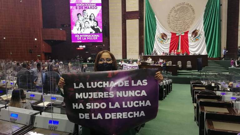Diputada Ana Cervantes Contreras, en la Cámara de Diputados