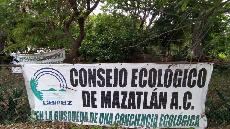 El terreno pertenece al polígono del Bosque de la Ciudad.