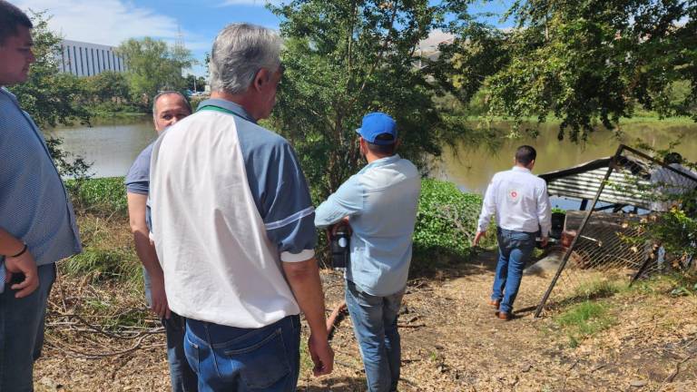Protección Civil llamó a no interactuar con los cocodrilos de ninguna forma y reportar al 911.