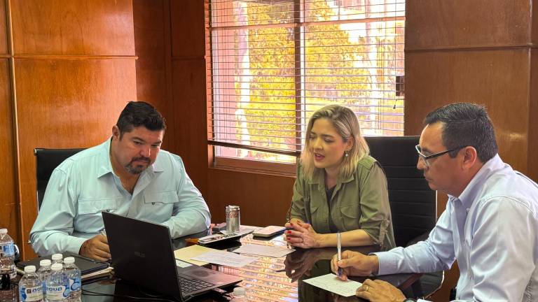La Alcaldesa Estrella Palacios Domínguez sostuvo una reunión virtual con la Unión Ganadera de Sinaloa.