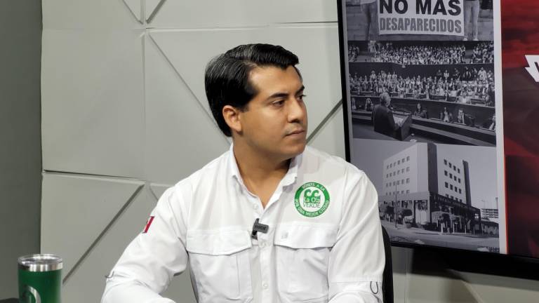 En Culiacán hay 15 árboles con más de 100 años de vida, explica la organización La Ola Verde.