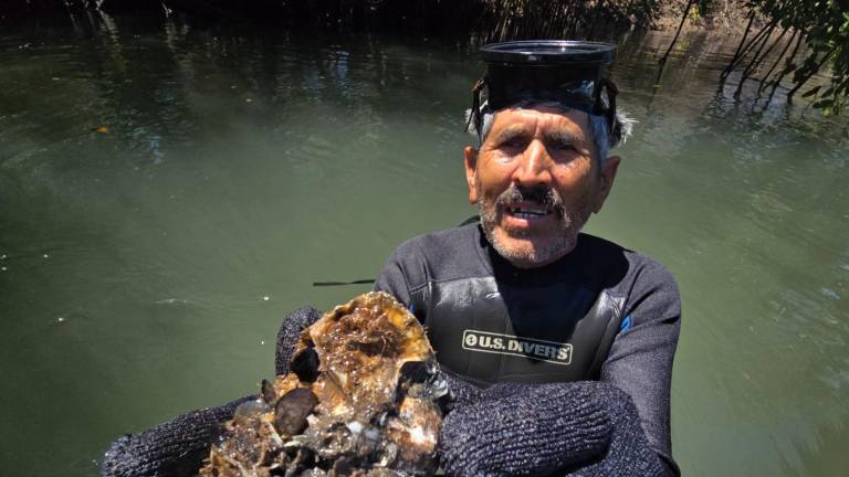 Desde hace más de 40 años, Marco Antonio se ha dedicado a la pesca y la extracción del ostión es una de las actividades que realiza previo a la Semana Santa.