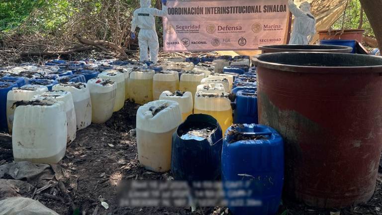 Elementos de la Armada de México localizaron y neutralizaron seis laboratorios clandestinos tras operativos terrestres en Navolato.