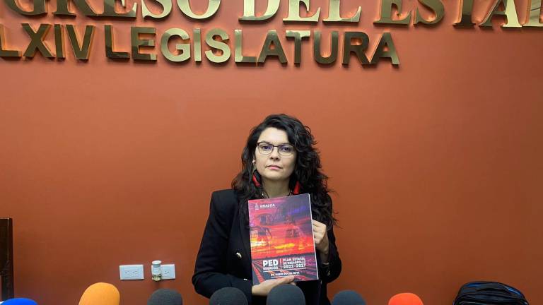 Diputada Almendra Ernestina Negrete Sánchez