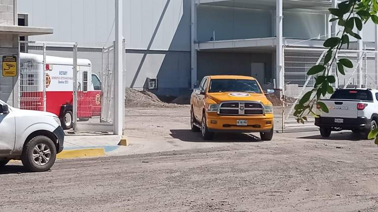 Paramédicos atienden a trabajadores tras el ataque de abejas en el Parque Industrial Mazatlán.