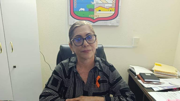 Araceli Ibarra Rojas indicó que el dueño de estas grúas le ha presentado la documentación que avala que es el único concesionario.
