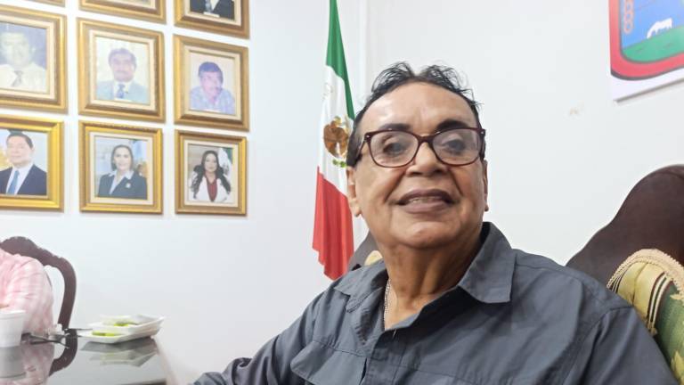 Palomares Fausto indicó que es la comunidad la que debe elegir a sus representantes.