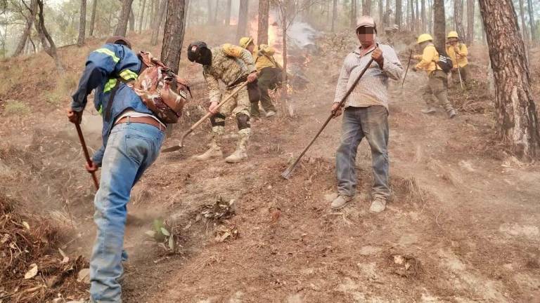 Durante lo que va de 2025, en Sinaloa se han registrado 62 incendios.