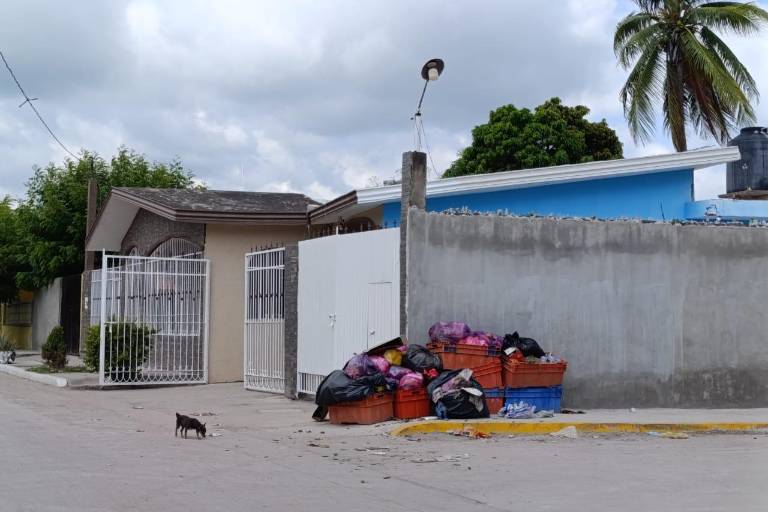 Ahora en la Ampliación Juárez, en Escuinapa, siguen sin pasar camiones recolectores de basura