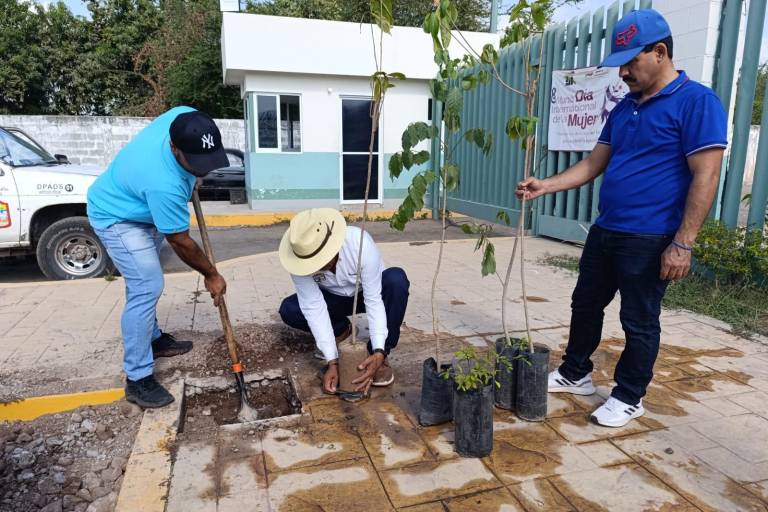 Reforestan estacionamiento de Hospital General en Escuinapa