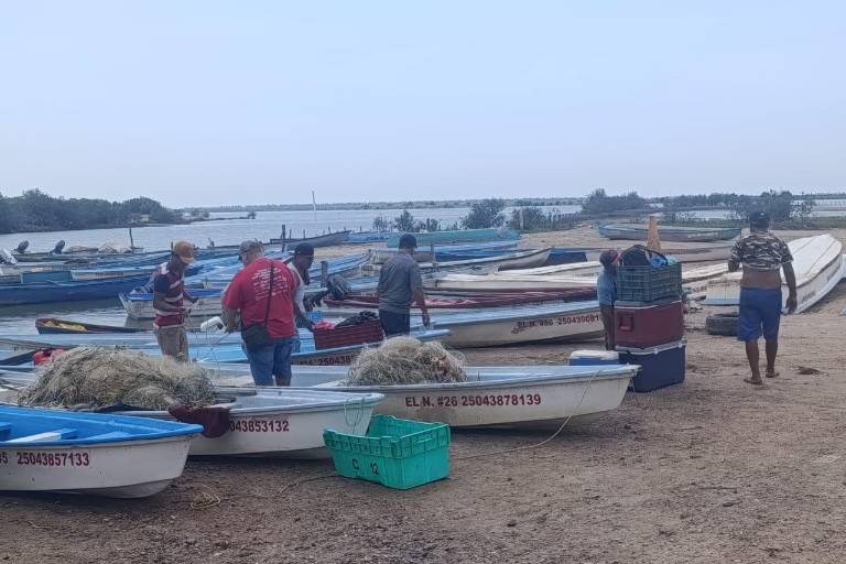 Pescadores de Escuinapa inician la temporada de camarón con esperanza