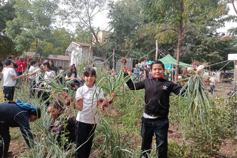 Cosechan niños de primaria de Culiacán hortalizas de su propia huerta