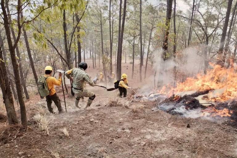 Claman ayuda familias desplazadas para proteger reserva de la chara pinta en Concordia