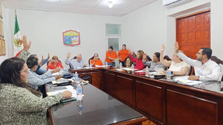 Regidores señalaron que la propuesta debería tener estudios de derecho.