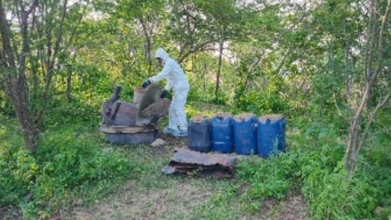 Elementos militares destruyeron un laboratorio y un área de concentración de sustancias químicas utilizadas para la elaboración de drogas sintéticas en la zona rural de Culiacán y Cosalá.