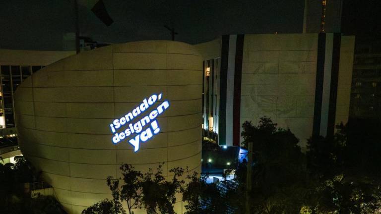 En el Senado de la República organizaciones se manifiestan para exigir al Senado la designación de los consejeros en el INE