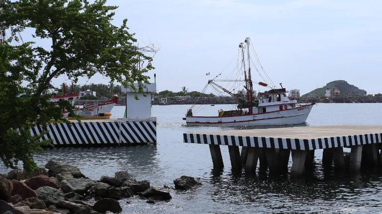 Pescadores de Mazatlán lamentan la baja captación de camarón.
