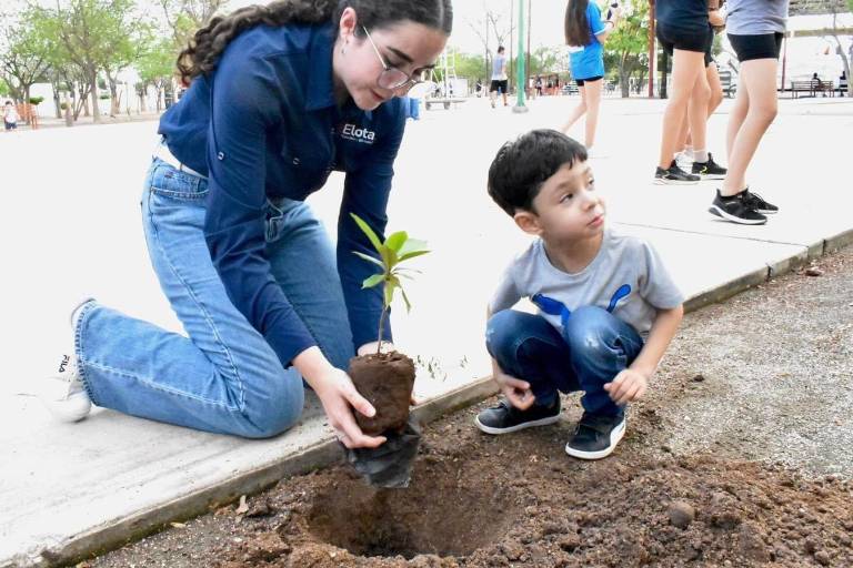 Plantan arbolitos en unidad deportiva en Elota