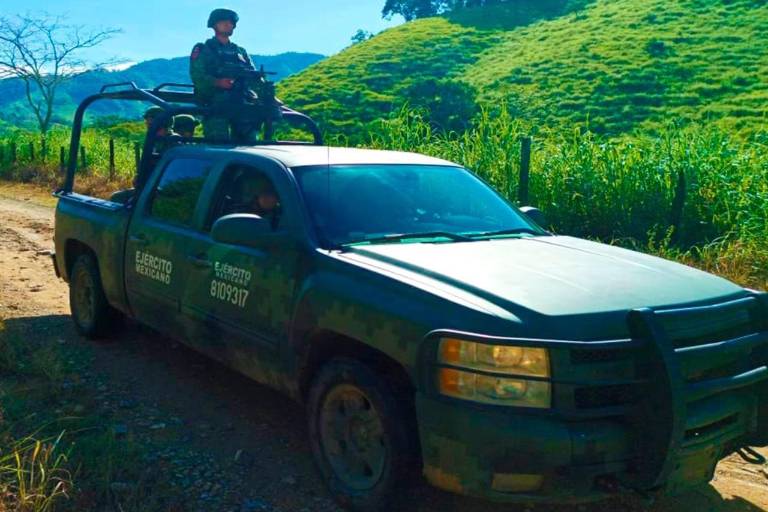 Localiza Ejército 3 plantíos de amapola en Sinaloa de Leyva