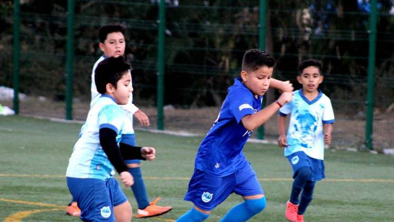 El próximo 4 de febrero arranca la liga