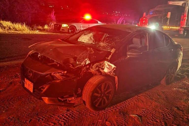 Se impacta vehículo contra vaca que se atravesó en carretera, en Rosario