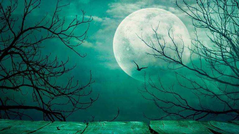 Muy pronto se dará a conocer los detalles del primer Festival de Horror en las Artes que se realizará del 26 al 29 de octubre.