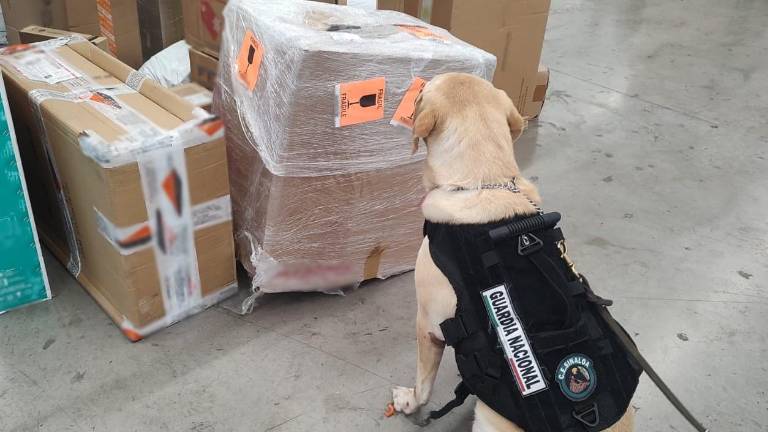 En un paquete localizaron un jarrón de cerámica, que en su interior transportaba 10 paquetes de mariguana.