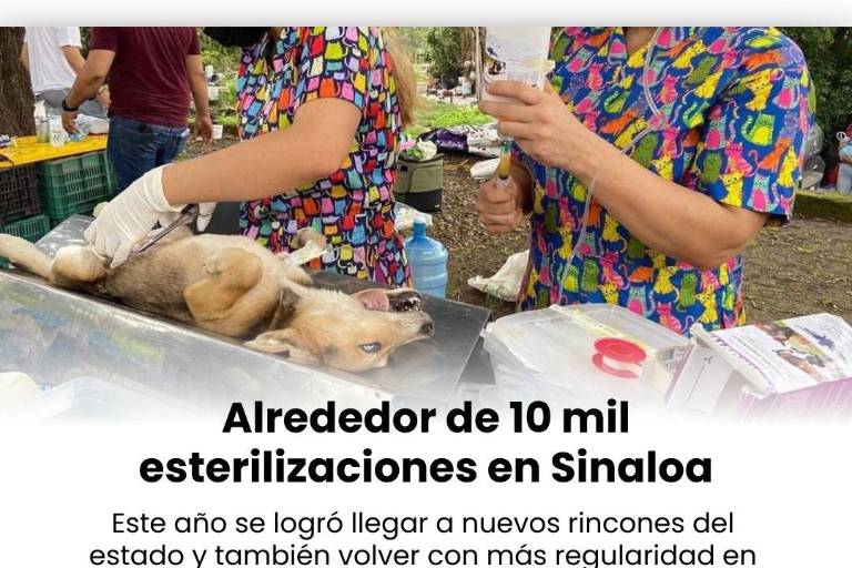 Huellitas con Causa cerró 2023 con 10 mil esterilizaciones de animales en Sinaloa
