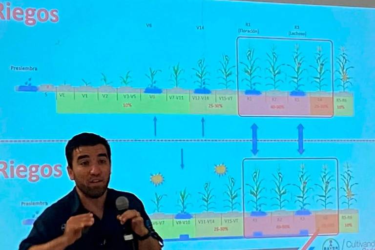 Analizan en conferencias el uso eficiente del riego en el cultivo del maíz