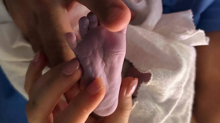Carlos Rivera y Cynthia Rodríguez comparten primera foto con León.