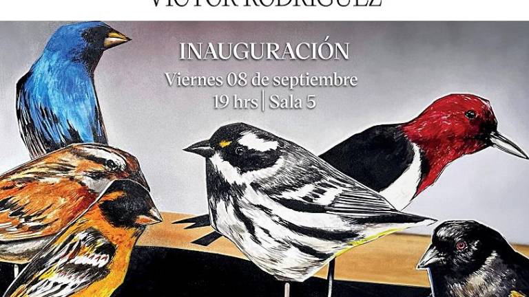 “Ilusión virtual se inuagurará el viernes 8, en el Masin.