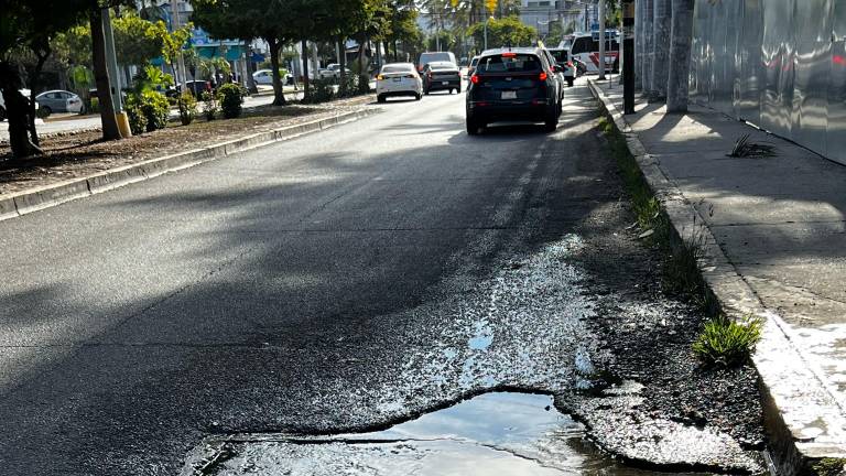 Vecinos denuncian fuga de agua potable en la Avenida Insurgentes, entre Ciprés y Avenida Reforma.
