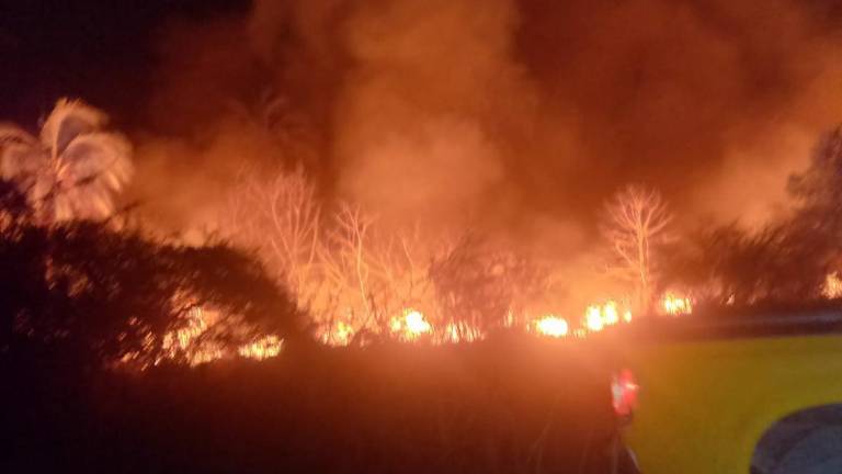 El fuego amenazó durante la noche las enramadas que se tienen ubicadas en la playa Las Cabras