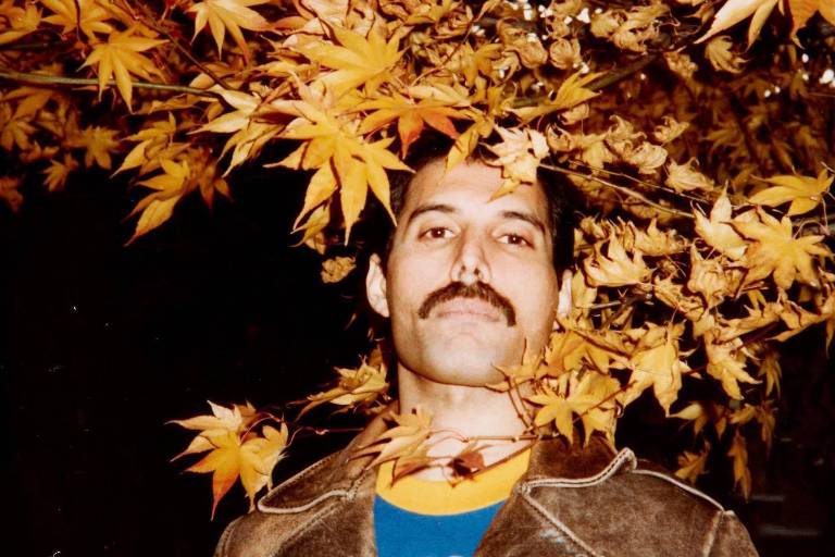 Subastan en 189 mil dólares el peine para bigote de Freddie Mercury