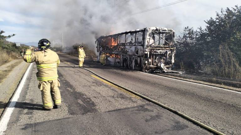 Bomberos de Acaponeta acudieron a apagar las llamas.