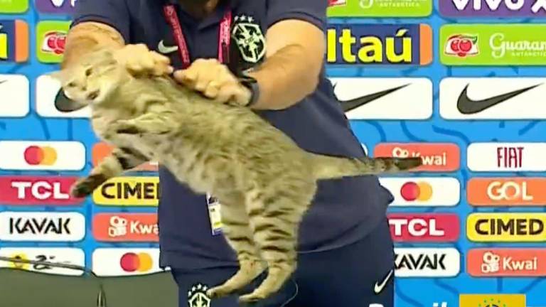 El hecho se suscitó durante la conferencia de prensa de la Selección de Brasil previo a su encuentro ante Croacia.