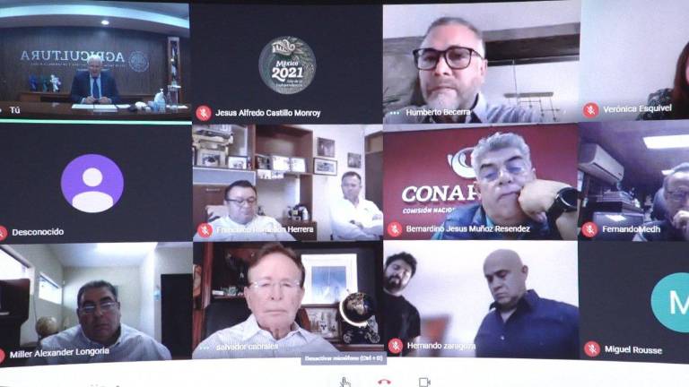 La reunión virtual.