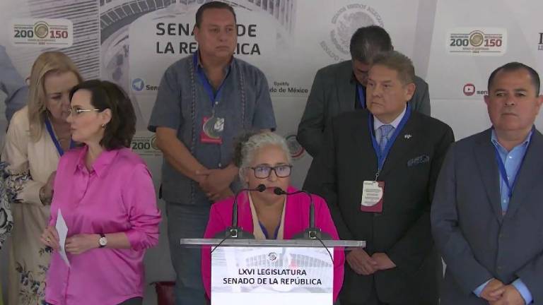La comitiva de sociedad civil realizó una conferencia de prensa en conjunto con la Senadora panista María Lilly Téllez García.